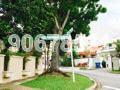 Palm Grove Avenue (D19), Semi-Detached #156500532